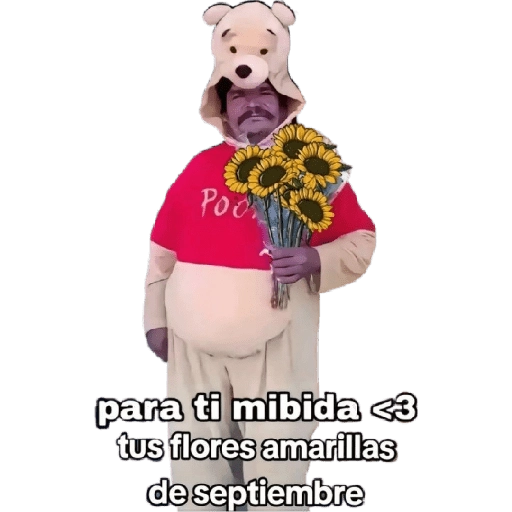 Flores Amarillas🌻ramos 20