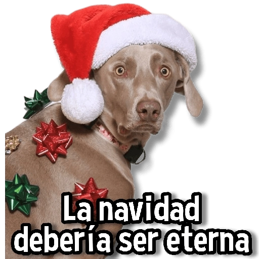 La navidad debería ser eterna