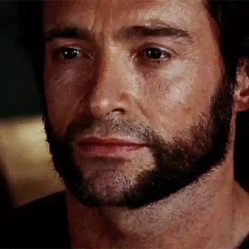 Wolverine🔝Logan 30