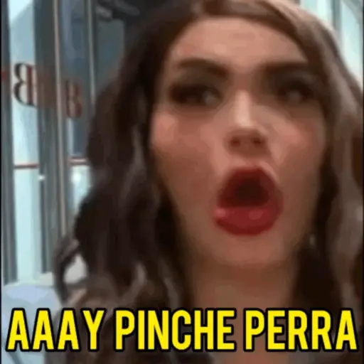 Perdidas y Las de Apelo 8