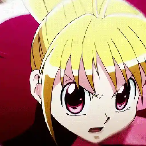 hunter x hunter 24