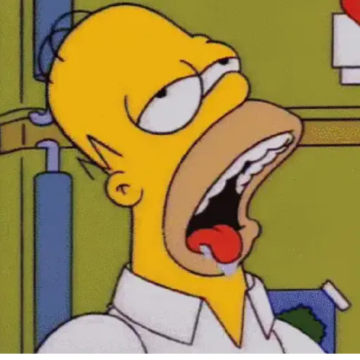 Homero Simpson 23