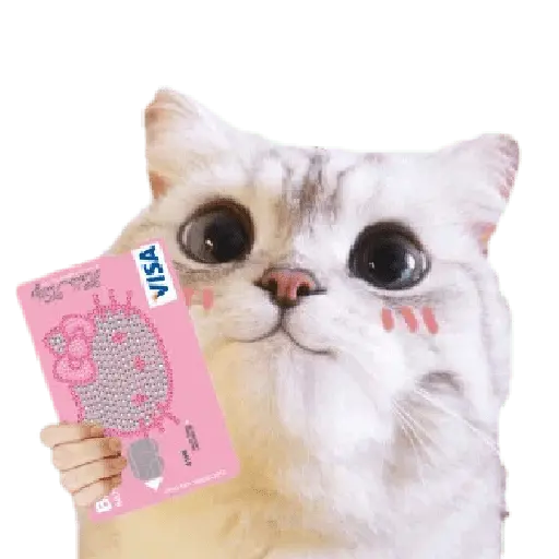 Michis random🐈🐈⬛ 21