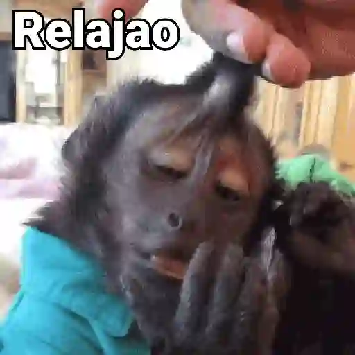 Relajao