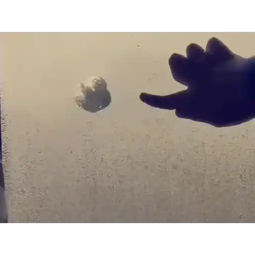 Meme Animated pt. 2 17
