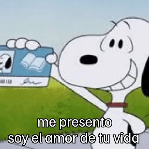 🐶 SnOoPy 🌲 2