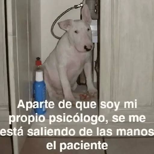 Más REACCIONES #6 🤖 1