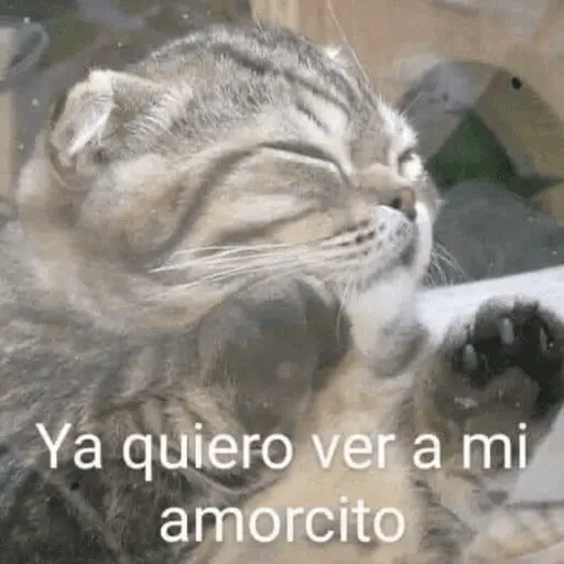 😏 PARA LIGAR 😏 12