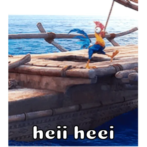 moana 23