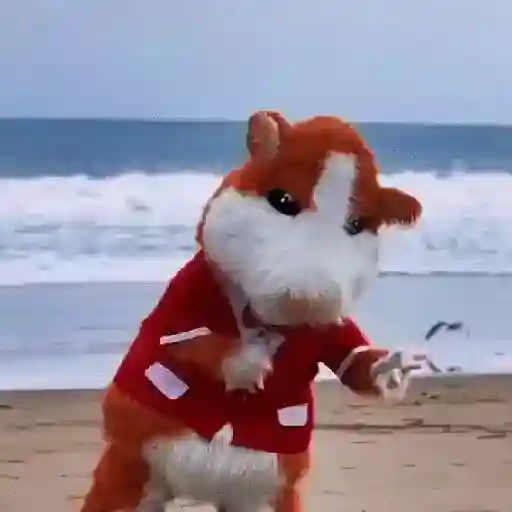 🎵 TIKTOKeando 10🎵