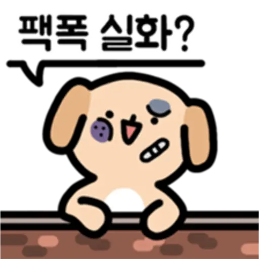 팩폭 실화?