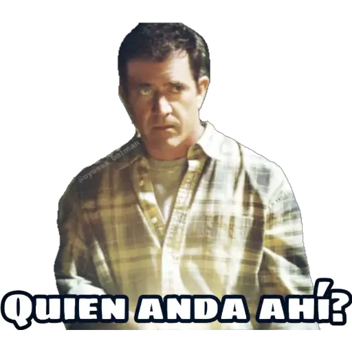 Señales 13