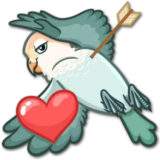 🐦Pajaros Lindos🐦  8