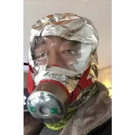 Maskalarning turlari 12