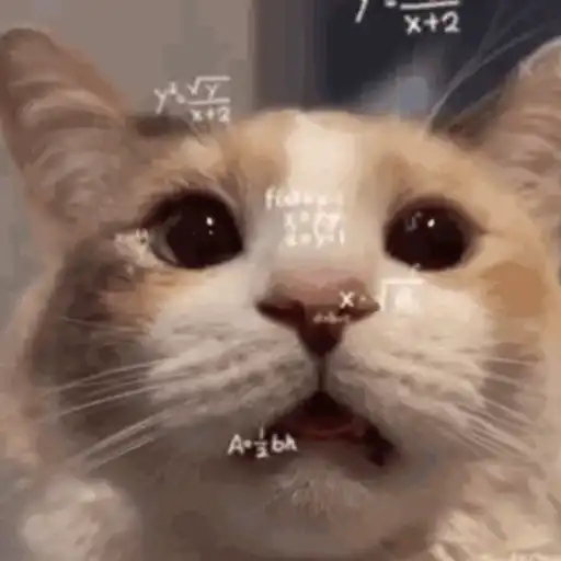 📲UN MIX PAL CHAT 2 📲 1