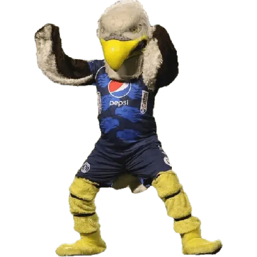 pepsi Castrol