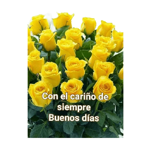 Flores amarillas 🌼🌻 8