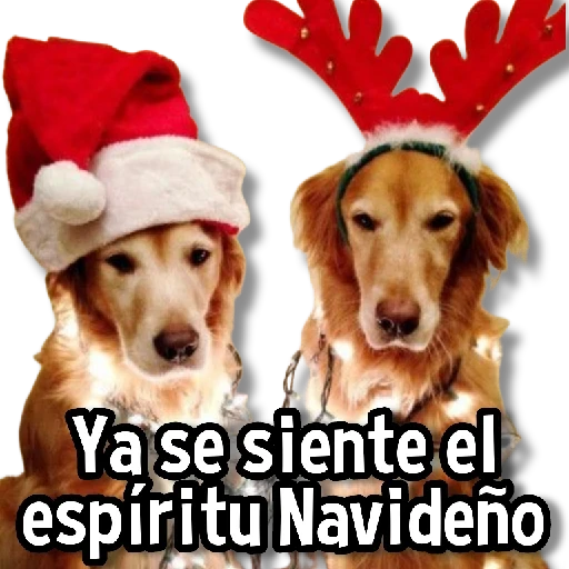 Ya se siente el espíritu Navideño