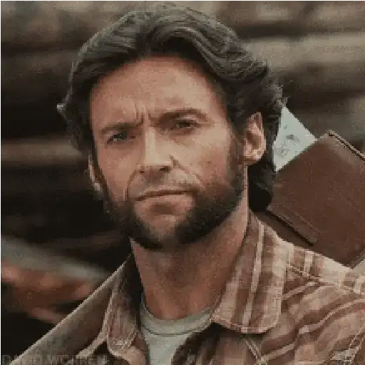 Wolverine🔝Logan 10