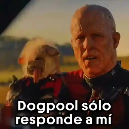 🐕Dogpool ⚔Deadpool⚔Wolverine 17