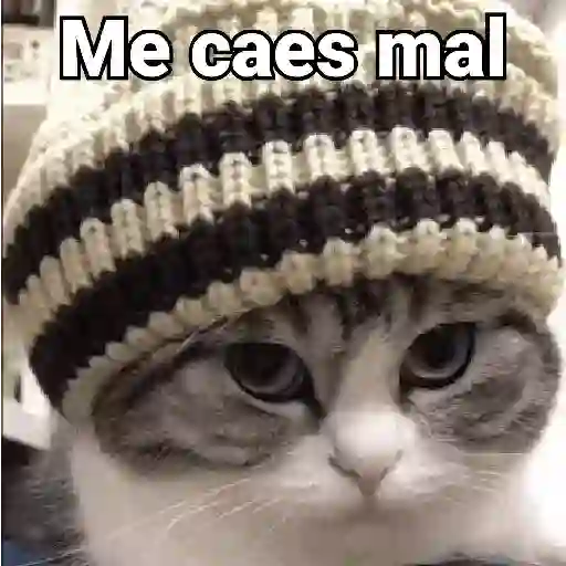 Me caes mal