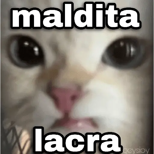 ✨ Memes mix 7 🔥 5