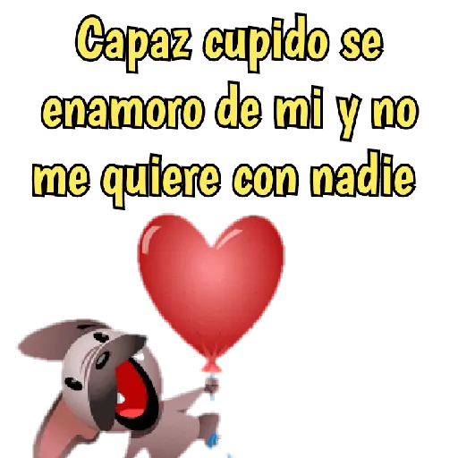 San Valentín frases 🌺💘 14