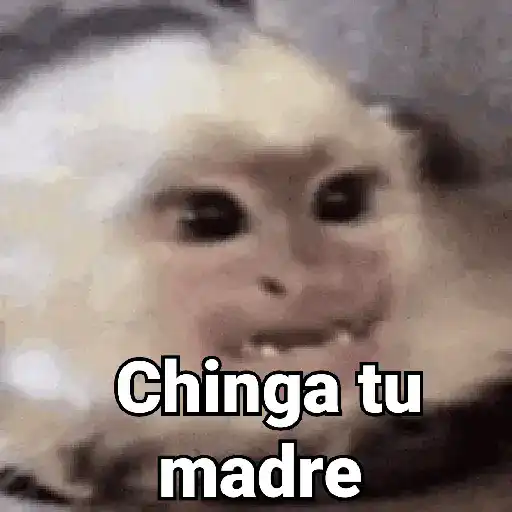 Chinga tu madre