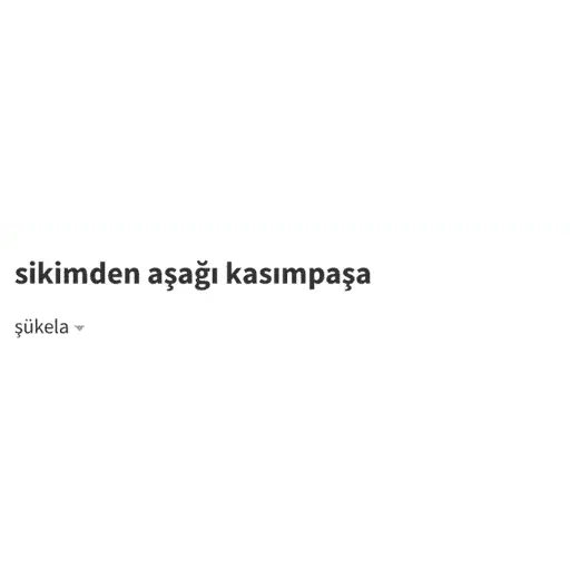 Türk Meme 23