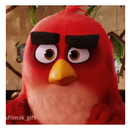 Meme Angry birds 💢😅 14