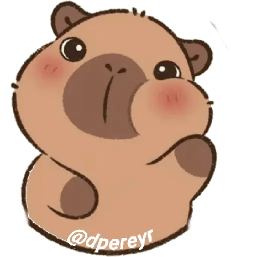 capibara 13