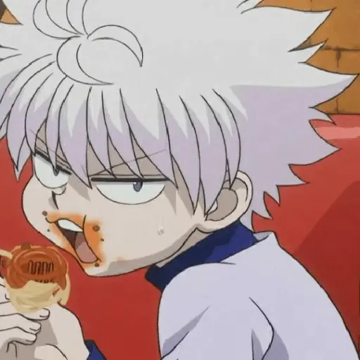 hunter x Hunter 17