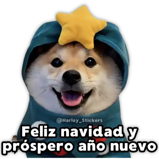 Perritos Navideños 8