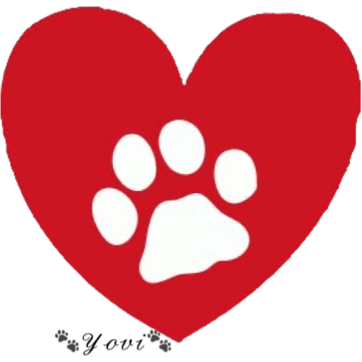 🐾Amor Perruno🐶🐾 13