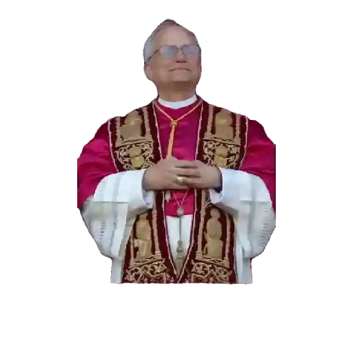Papa león XIV 20
