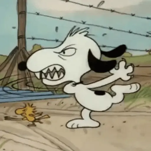 🐾Snoopy enojado 😡 3 🦴 10
