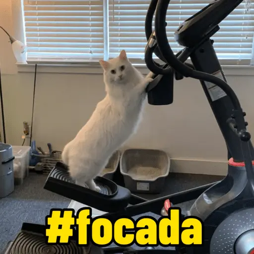 #focada