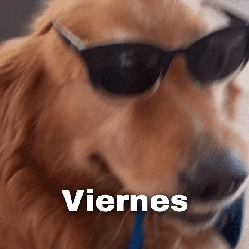Yo vs. Los días de la semana🤪✨