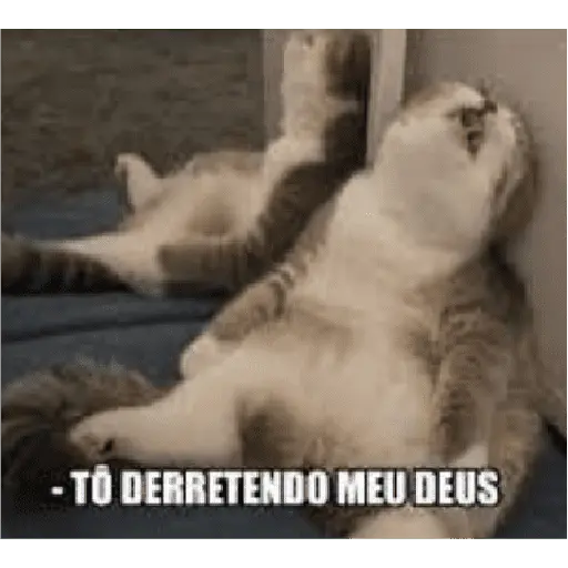 NÍVEL DE CALOR 🔥 13