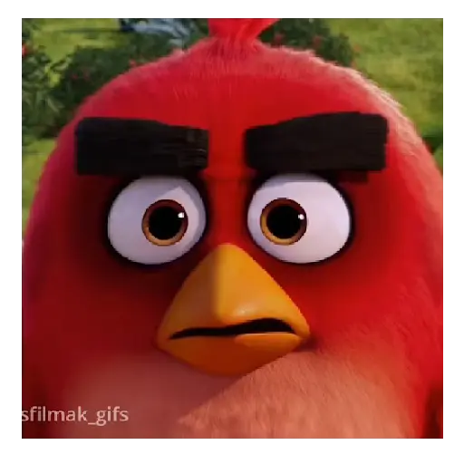 Meme Angry birds 💢😅 3