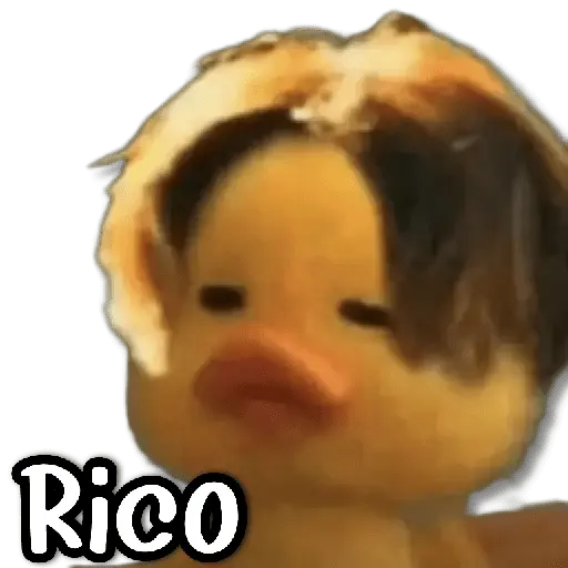 Rico