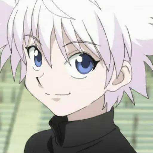 hunter x Hunter 28