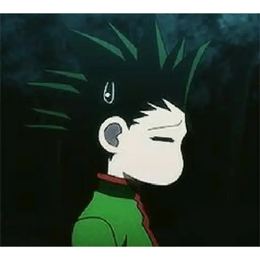 hunter x Hunter 11