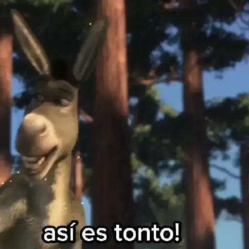 Burro 🫏 (Shrek) 8