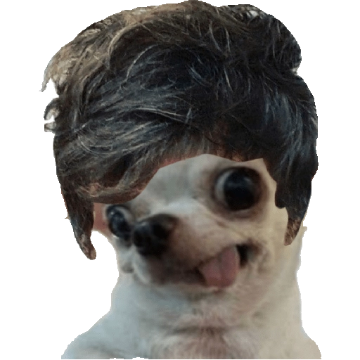 Perrito Milei 2