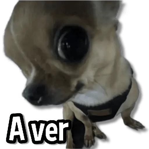 Memes Clásicos 1.0😏💕 7