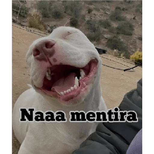Estoy Loco 😜 8
