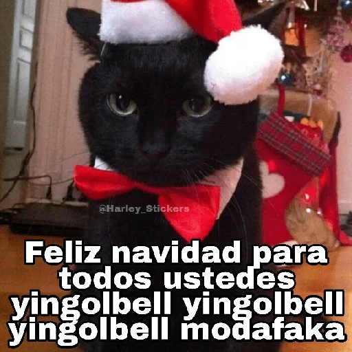 Gatitos Navidad 3