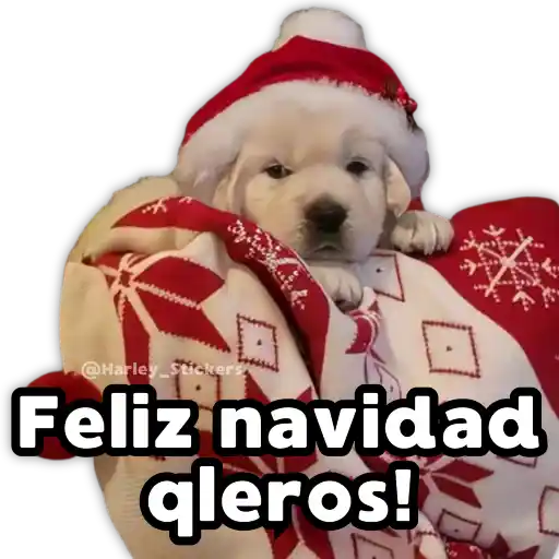 Perritos Navideños 13