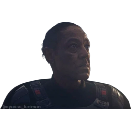 The Mandalorian 8